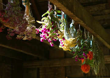 Bloemen drogen aan de lucht: 